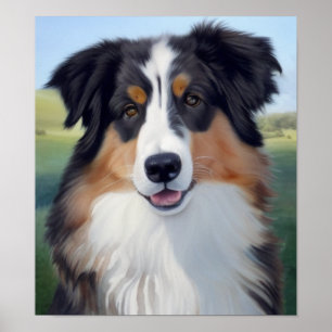 Affiche Portrait d'Australian Shepherd -