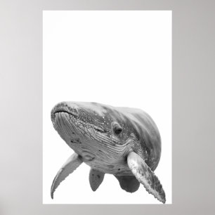 Affiche Portrait de baleine moderne noir blanc