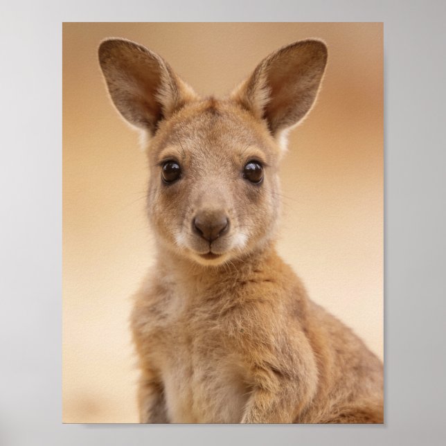 Affiche Portrait de bébé kangourou – Mural d'animal de nur (Devant)