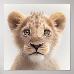 Affiche Portrait de bébé lion mignon Carré 1:1