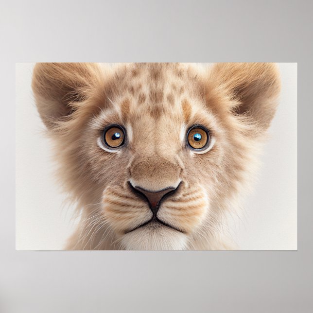 Affiche Portrait de bébé lion mignon | Carré 1:1 (Devant)
