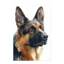 Portrait de berger allemand aquarelle