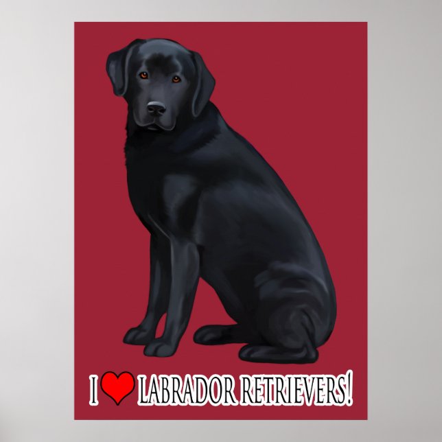 Affiche Portrait de Black Labrador Retriever (Devant)