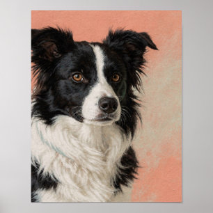Affiche Portrait de Border Collie noir et blanc dans le co