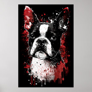 Affiche Portrait de Boston Terrier
