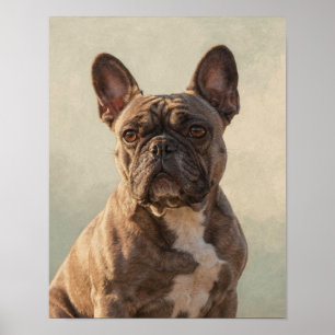 Affiche Portrait de Bouledogue Français Bringé aux Chaudes