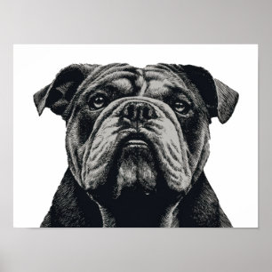Affiche Portrait de Bouledogue – Illustration Vintage de C