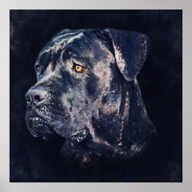 Affiche Portrait de Cane Corso (Devant)
