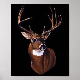 Affiche Portrait de cerfs blancs Antlers Animaux sauvages 