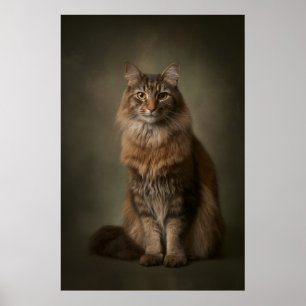 Affiche Portrait de chat élégant en studio
