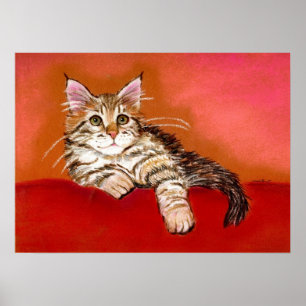Affiche Portrait de chat Maine Coon Kitten