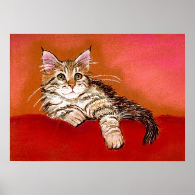 Affiche Portrait de chat Maine Coon Kitten (Devant)