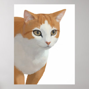 Affiche Portrait de chat orange et blanc