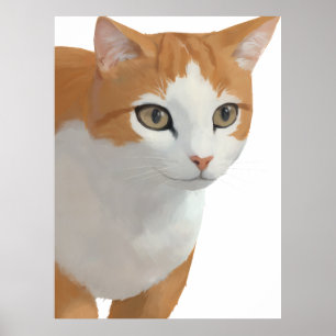 Affiche Portrait de chat orange et blanc