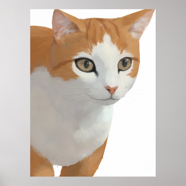 Affiche Portrait de chat orange et blanc (Devant)