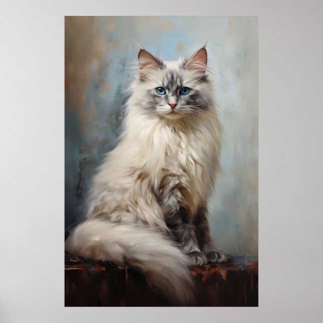 Affiche Portrait de chat Ragdoll (Devant)