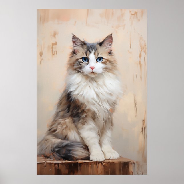 Affiche Portrait de chat Ragdoll (Devant)