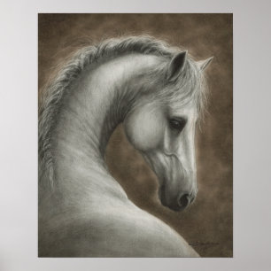 Affiche Portrait de cheval blanc peint à la main