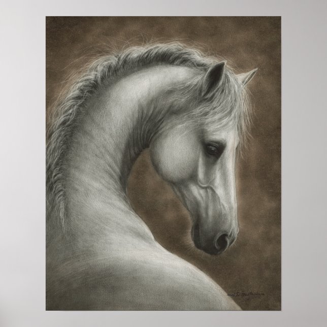 Affiche Portrait de cheval blanc peint à la main (Devant)