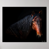Portrait de cheval VII