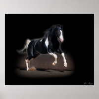 Portrait de cheval VIII