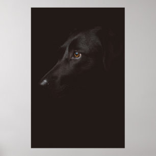 AFFICHE PORTRAIT DE CHIEN