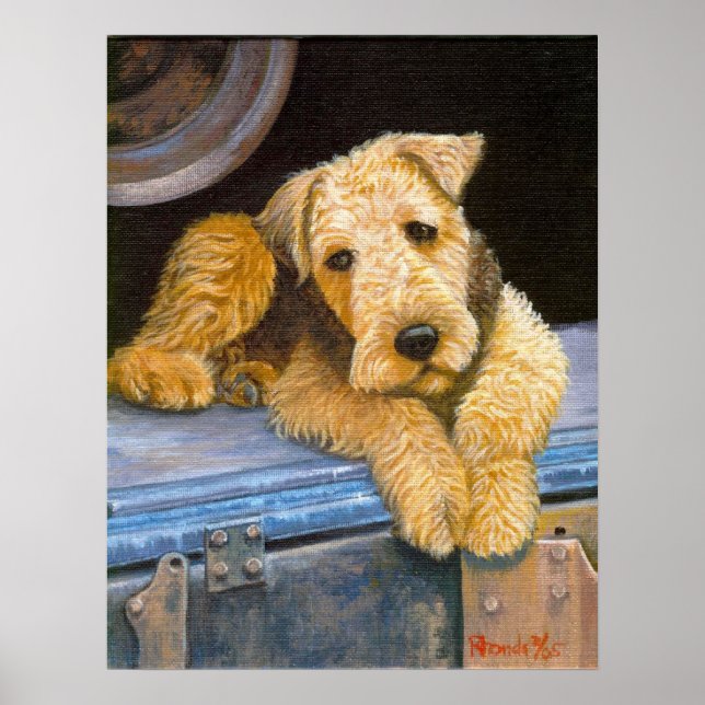 Affiche Portrait de chien Airedale Terrier (Devant)
