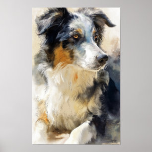 Affiche portrait de chien berger australien
