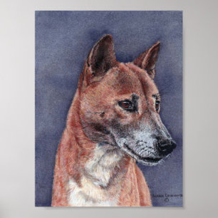 Affiche Portrait de chien chantant en Nouvelle-Guinée