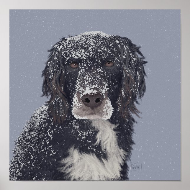 Affiche Portrait de chien croisé Spaniel  (Devant)