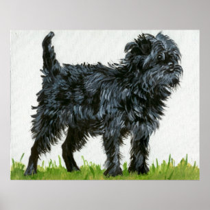 Affiche Portrait de chien d'Affenpinscher