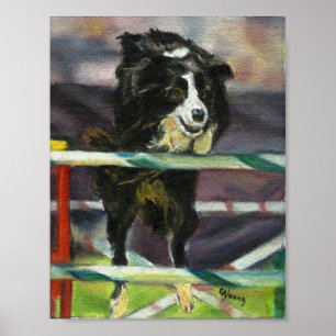 Affiche Portrait de chien d'agilité de border collie