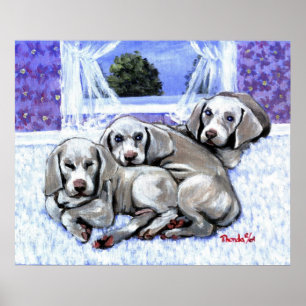 Affiche Portrait de chien de chiots de Weimaraner