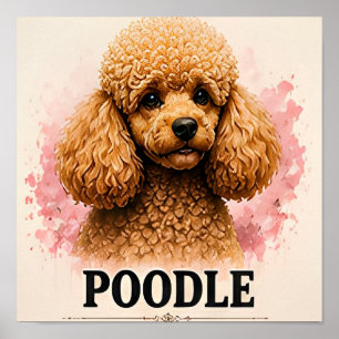 Affiche Portrait de chien élégant Caniche Artwork Premium