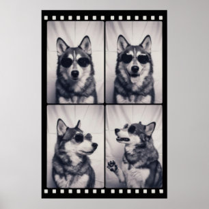 Affiche Portrait de chien Husky