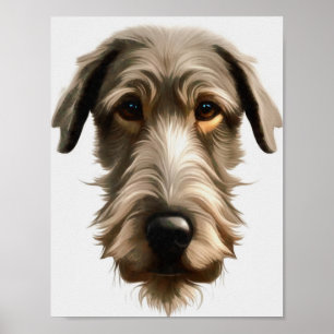 Affiche Portrait de chien irlandais sur toile isolé sur