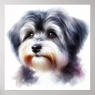 Affiche Portrait de chien mignon Havanais en aquarelle
