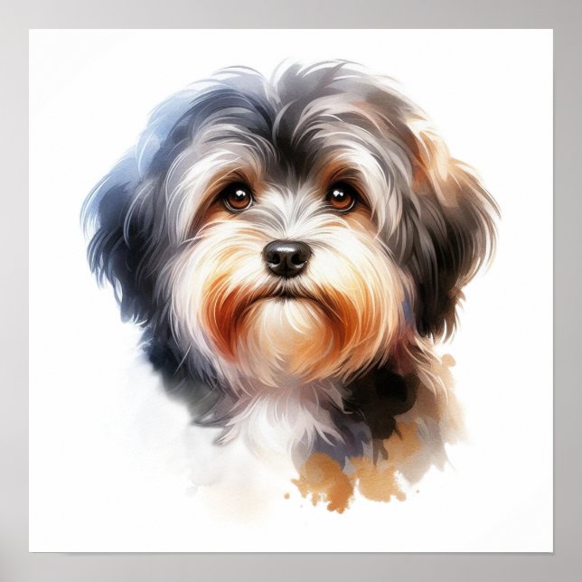 Affiche Portrait de chien mignon Havanais en aquarelle (Devant)