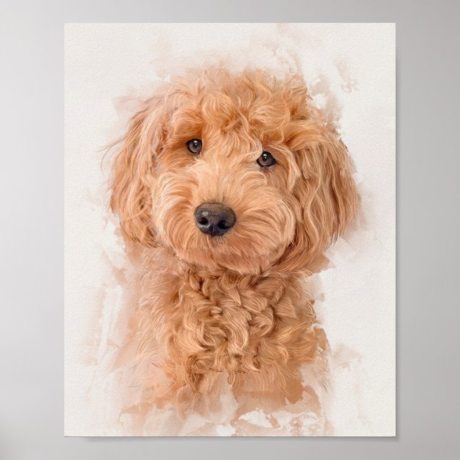 Affiche Portrait de chien Mini Goldendoodle (Devant)