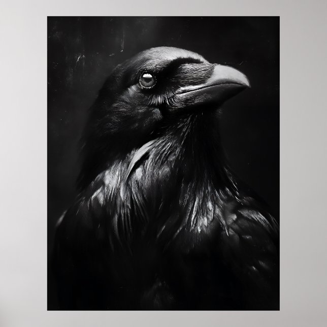 Affiche Portrait de corbeau monochrome (Devant)