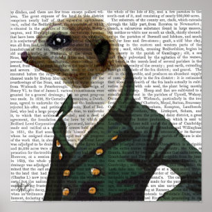 Affiche Portrait de Dandy Meerkat