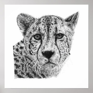 Affiche Portrait de faune de guépard dessiné à la main en 