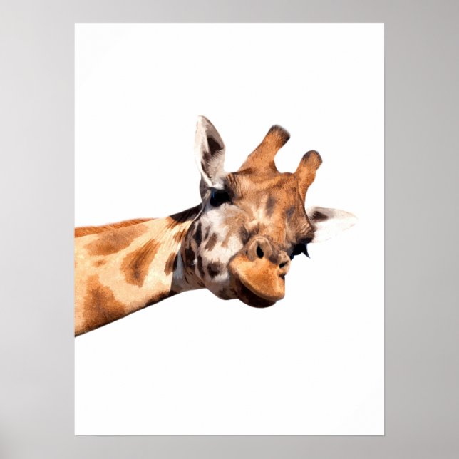 Affiche Portrait de girafe animal africain (Devant)
