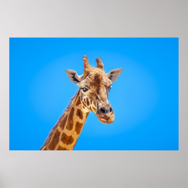 Affiche Portrait de Giraffe contre le ciel (Devant)