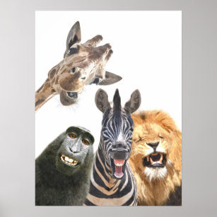Affiche Portrait de Jungle animal friends