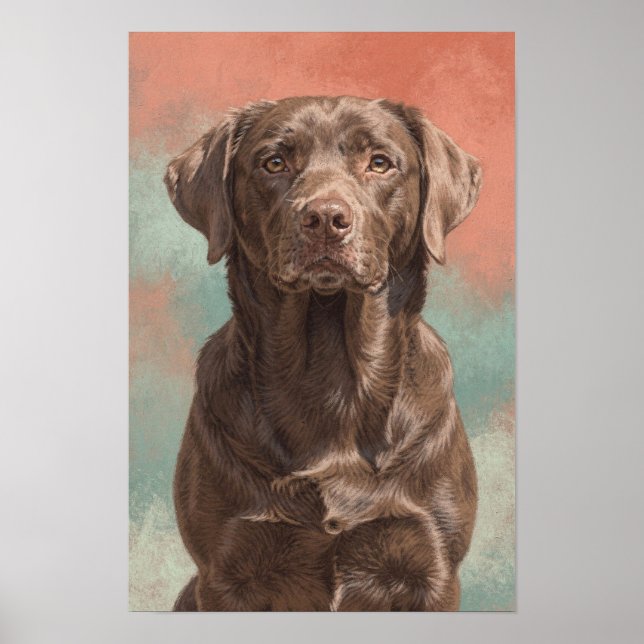 Affiche Portrait de Labrador Chocolat sur Fond Corail (Devant)