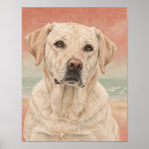 Affiche Portrait de Labrador Retriever jaune en corail et