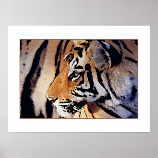 Affiche Portrait de l'affiche du tigre