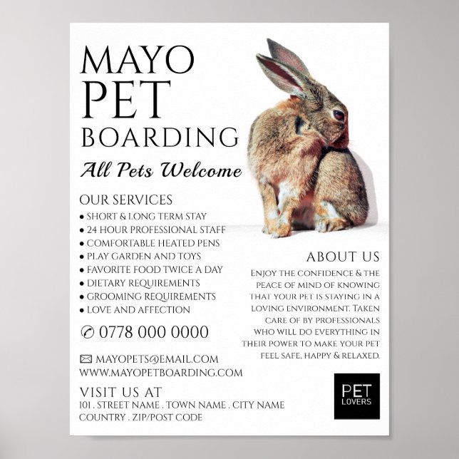 Affiche Portrait de lapin, Embarquement d'animaux de compa (Devant)