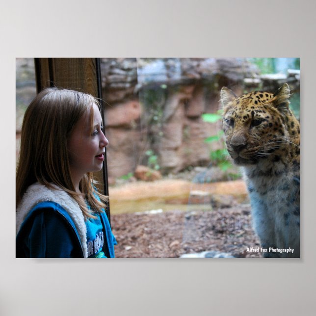 Affiche Portrait de léopard et d'enfant (Devant)